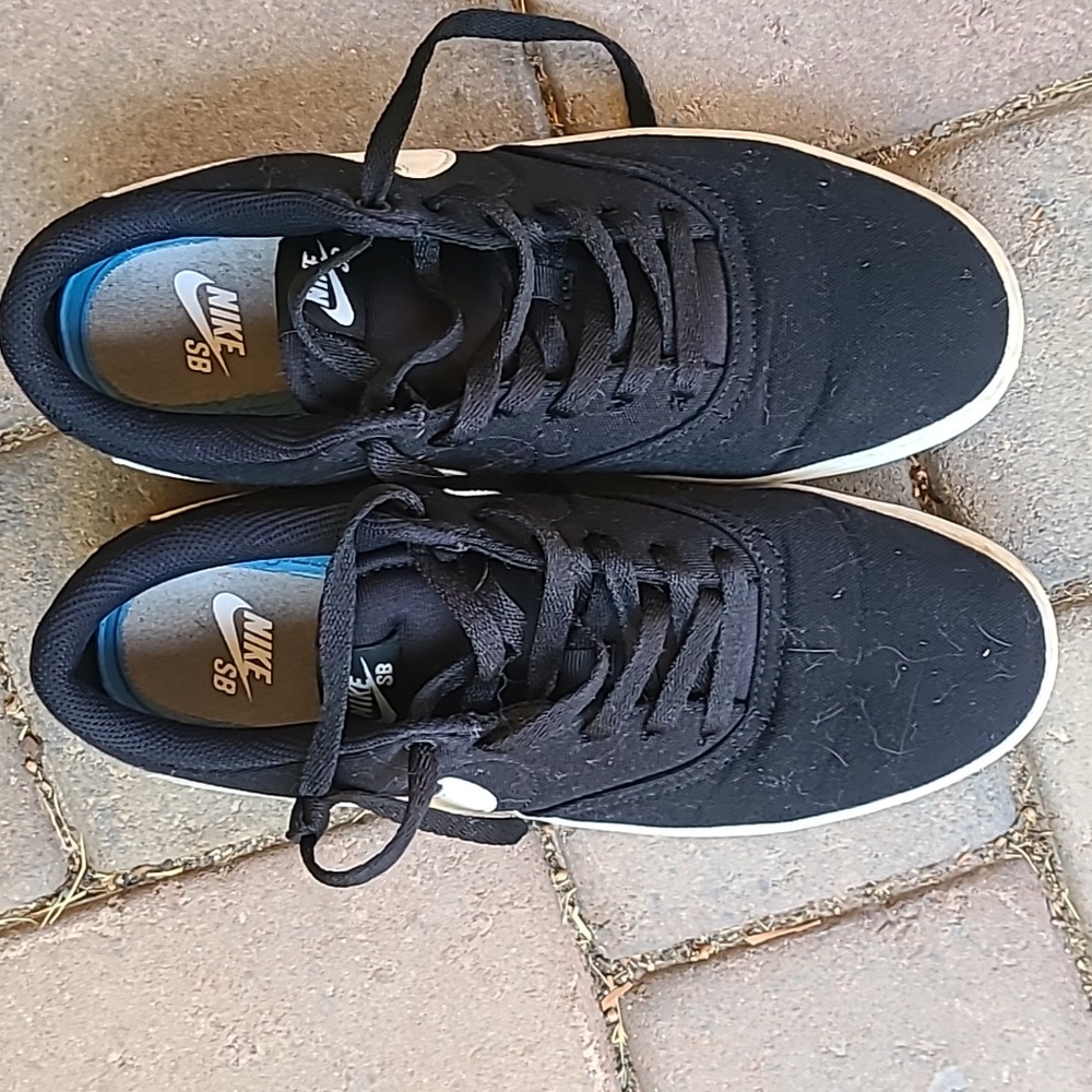 Nike SB sneakers